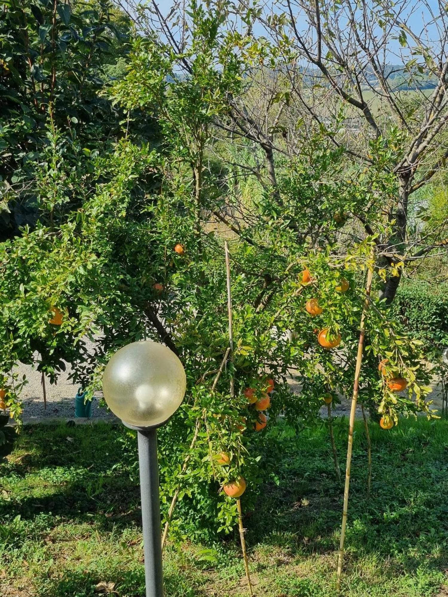 Casa Imola Apartman Poggibonsi Kültér fotó